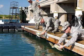 Environmental program image